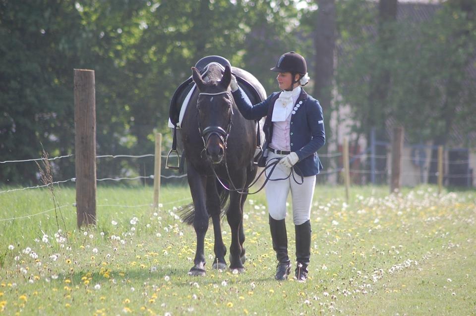 Oldenborg Ursandi af Hvarre billede 17