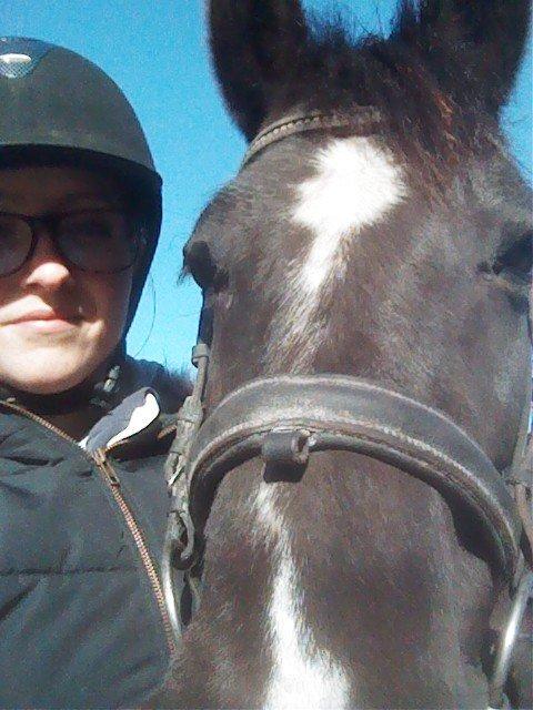 New Forest Naomi af Lindbjerghus billede 11