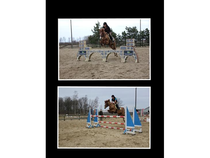 {{currentPhoto.altText}} billede {{currentPhoto.number}}