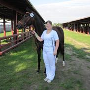 Anden særlig race Elina