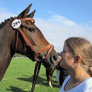 Anden særlig race Elina