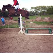 DSP Riishøjgaards Victor