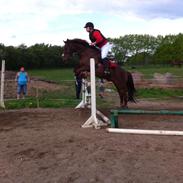 DSP Riishøjgaards Victor