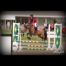 Anden særlig race Tøsen