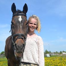 Trakehner Leonhard ( bamse )