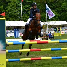 Anden særlig race Michelangelo