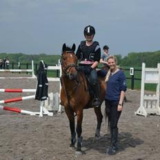 New Forest Øxenborg's Pinocchio