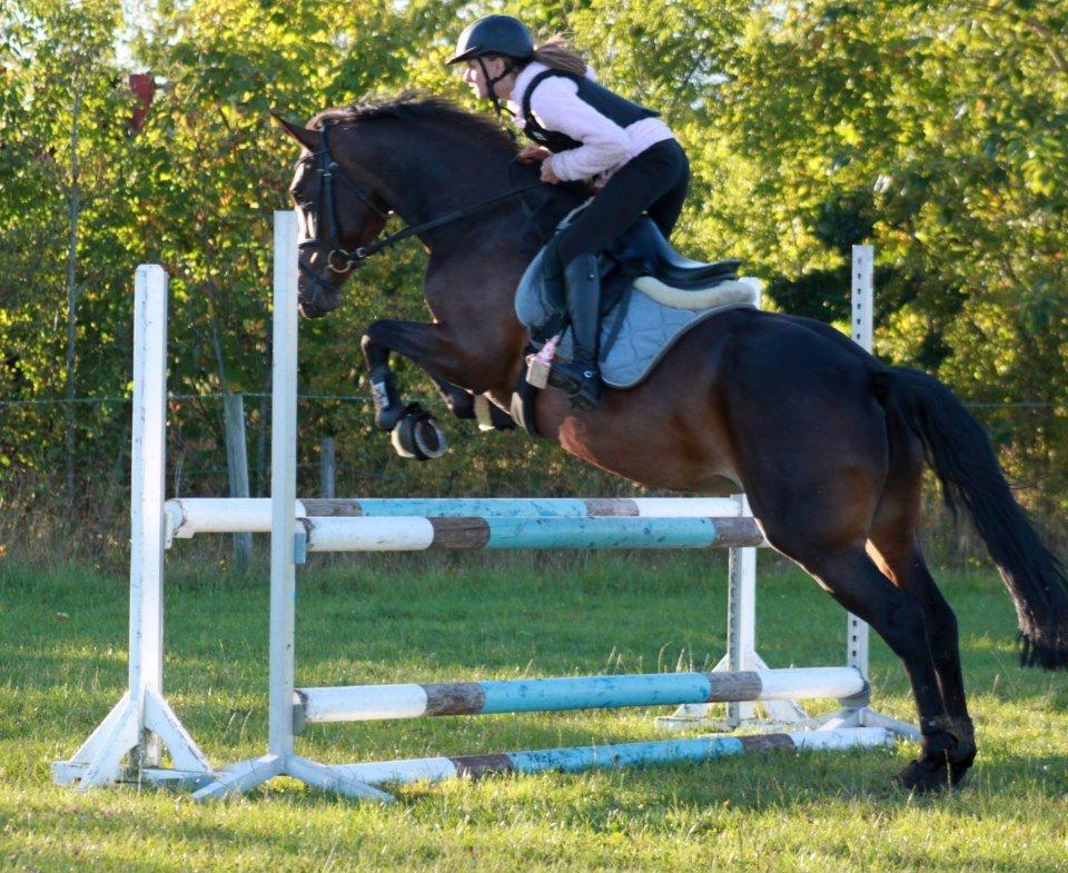 DSP Skovlunds Embla - Søde pony <3 billede 6