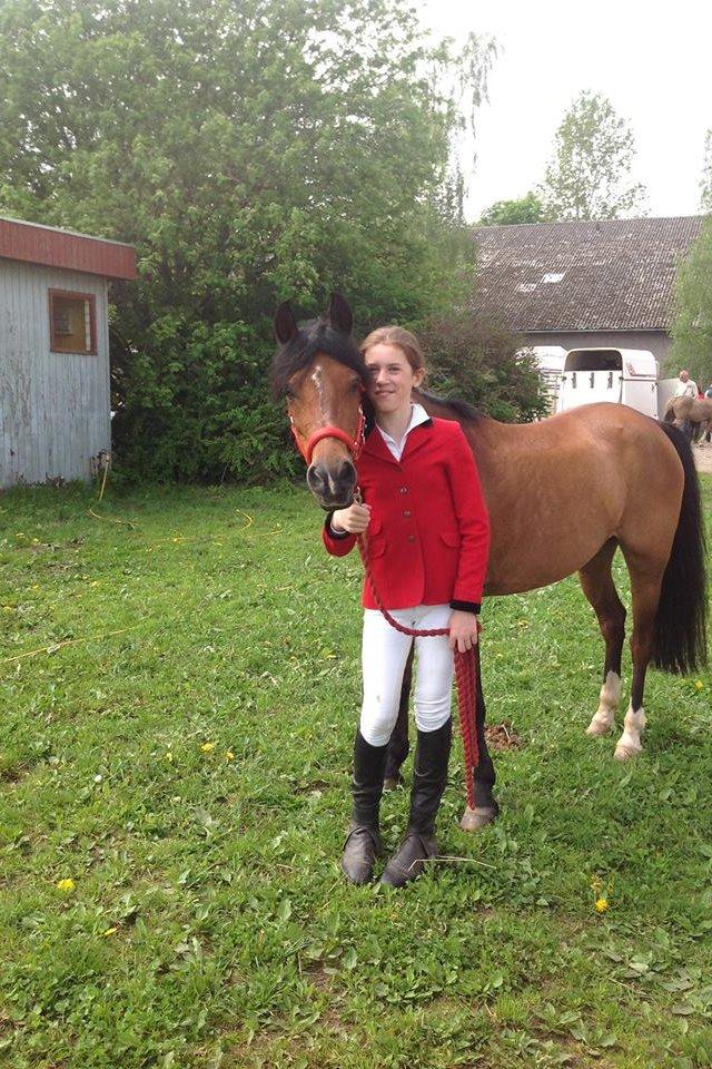 Anden særlig race Tøsen - Hej og velkommen til Tøsen og min profil, håber at i kan lide den i må meget gerne ligge en kommentar. Her på billedet er Tøsen og mig lige blivet færdig til stævne i Horsens. billede 1