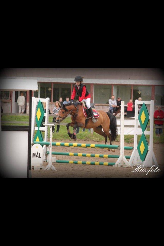 Anden særlig race Tøsen - Til kommunemesterskabet. billede 3