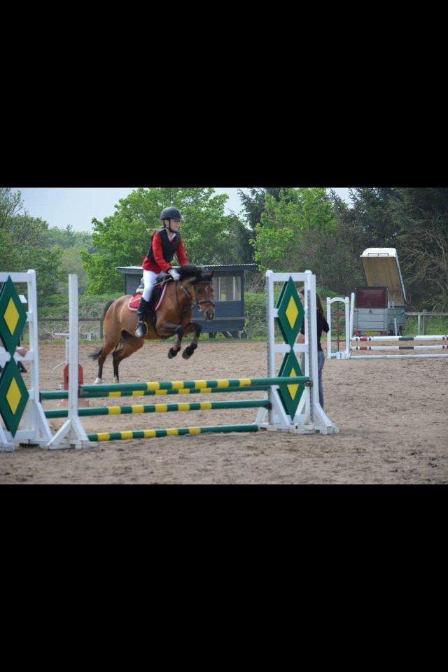 Anden særlig race Tøsen - Til kommunemesterskabet. billede 4