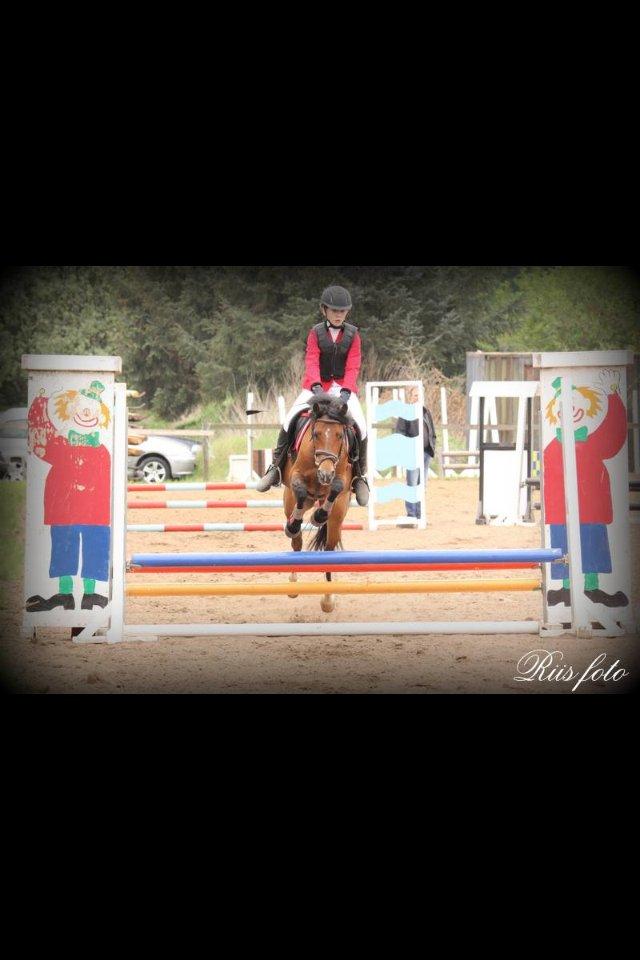 Anden særlig race Tøsen - Til kommunemesterskabet. billede 5