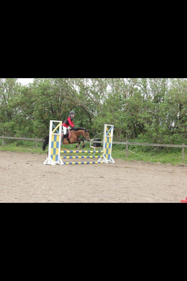 Anden særlig race Tøsen - Til kommunemesterskabet. billede 7