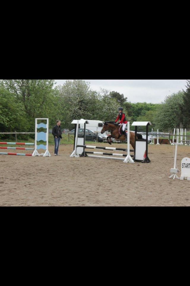 Anden særlig race Tøsen - Til kommunemesterskabet. billede 8