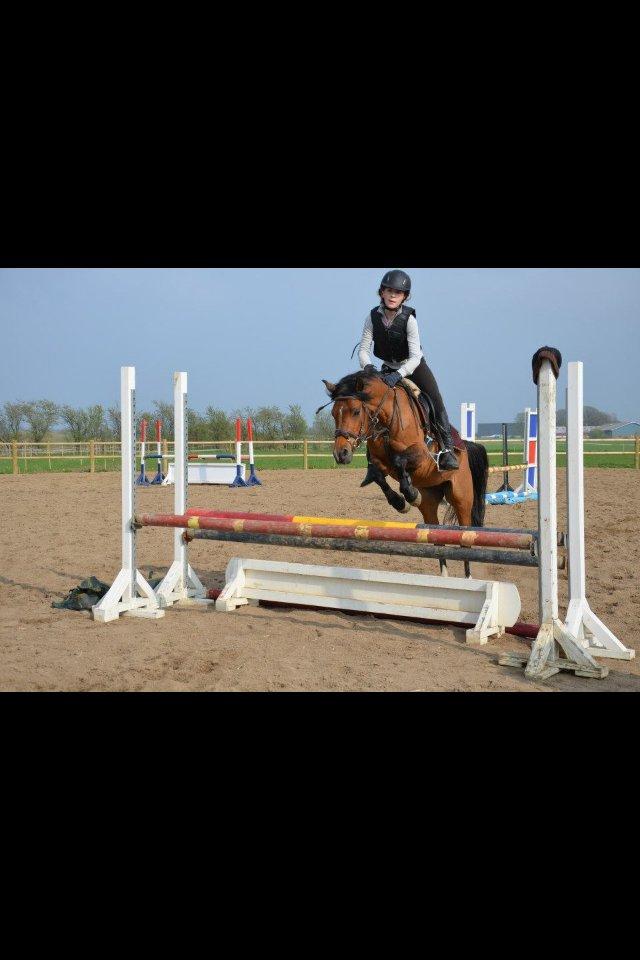 Anden særlig race Tøsen - Til undervisning på Tøsen ved Sonny. billede 13