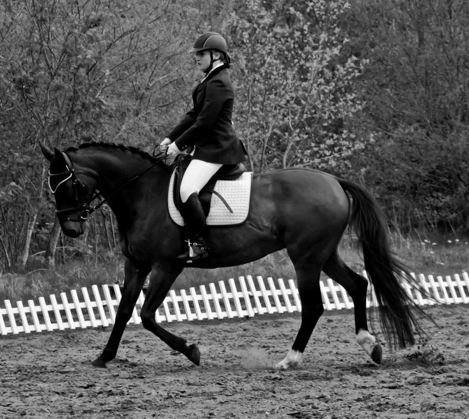 Anden særlig race Countdown billede 19