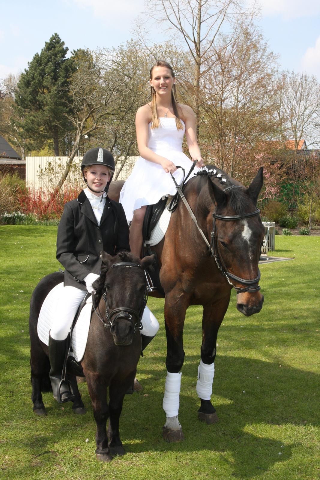 Trakehner Leonhard ( bamse ) - Helena på bamse
Josefine (mig) på Harley billede 4