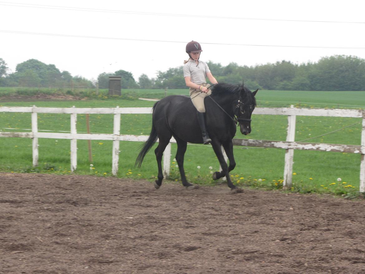 DSP Maxim - Ponyen der gør mig glad - <3 - Det er så hyggeligt at ride uden sadel på dig<3 22/5-2013 billede 11