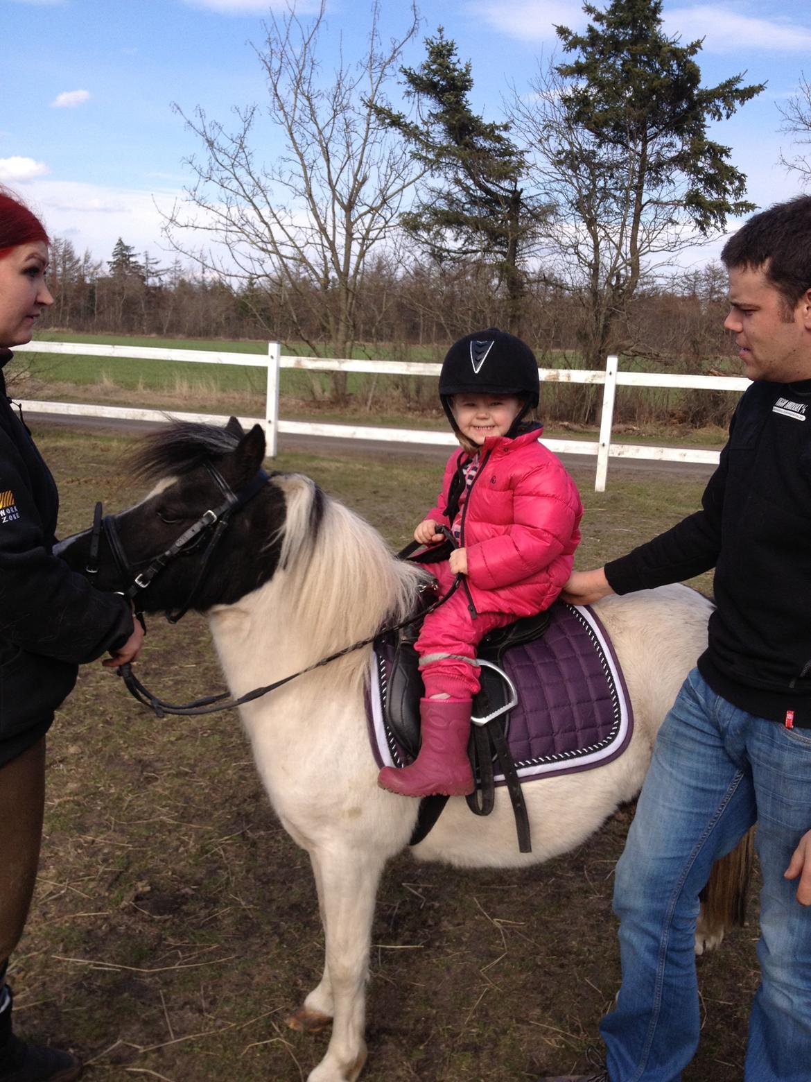 Anden særlig race Perle billede 3