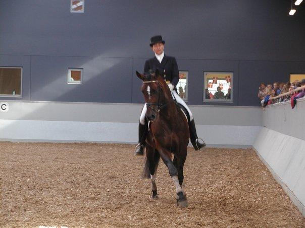Trakehner Leonhard ( bamse ) - Bamse i hans unge dage! Dette kan han ikke mere, med de stive muskler og ben han har! :) billede 18