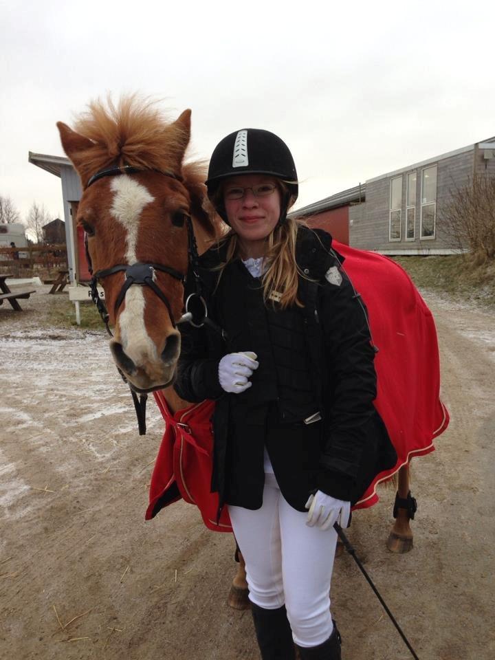 Anden særlig race Min Dreng Belci Hood:-*** - Efter vores første stævne sammen <3 billede 1