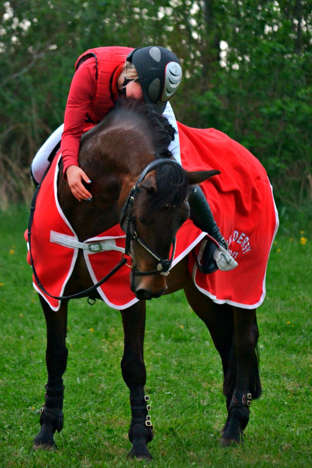 Hollandsk Sportspony JOLANDA SOLGT <3 - Jolanda der vandt SRS Derby 2013
Billed: Mathilde Danmark billede 20