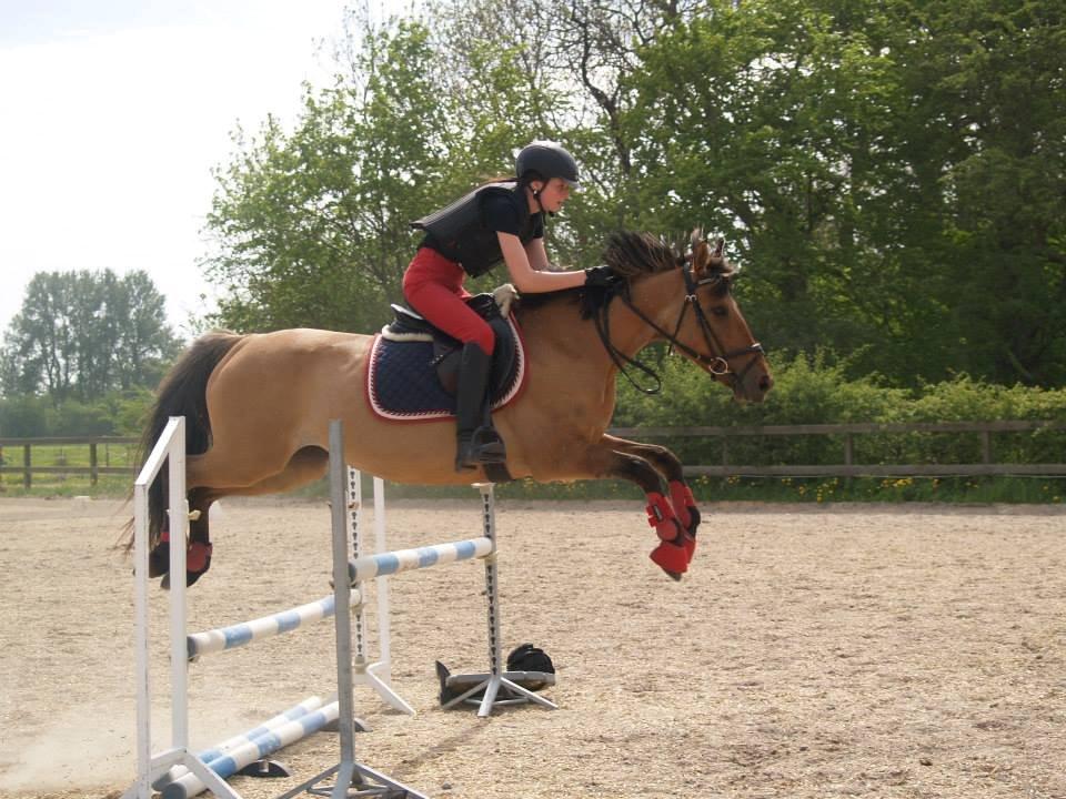Anden særlig race Lady - På vej over oxer. <3 Foto Iben. <3 billede 1