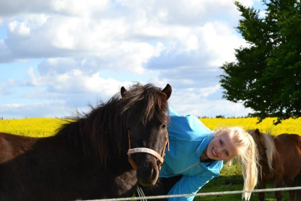 Anden særlig race Gizmo. (førhen Sky) billede 14