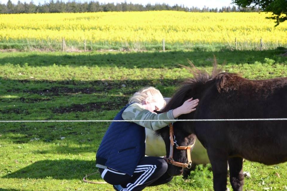Anden særlig race Gizmo. (førhen Sky) - Jeg håber i nød det. Farvel:D billede 22