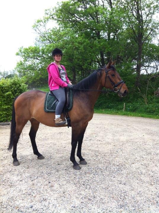 Anden særlig race Desherri billede 3