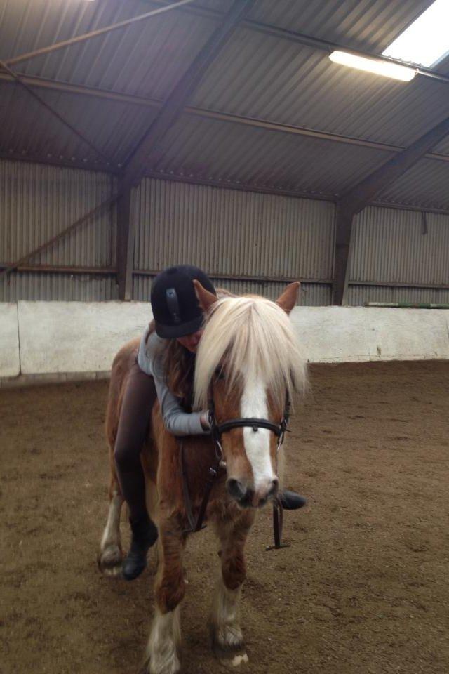 Anden særlig race Mac Gregor/Mags<333 - <333 billede 12