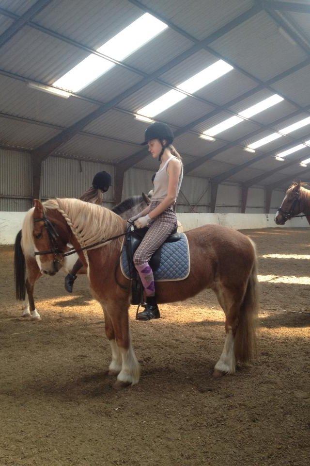 Anden særlig race Mac Gregor/Mags<333 - Dressur Pony<333 billede 13