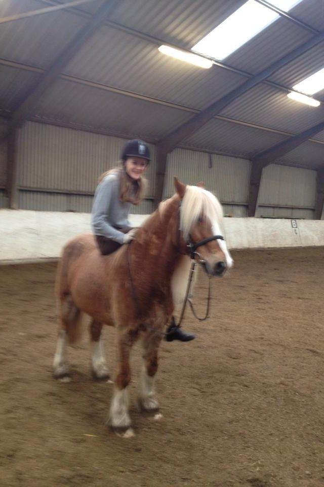 Anden særlig race Mac Gregor/Mags<333 - Uden sadel :D billede 11