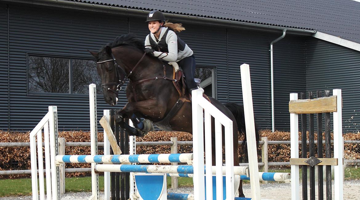 Dansk Varmblod Skovlunds Pablo Z - Flyver over triplebar til træning ude ved Thomas :) billede 13