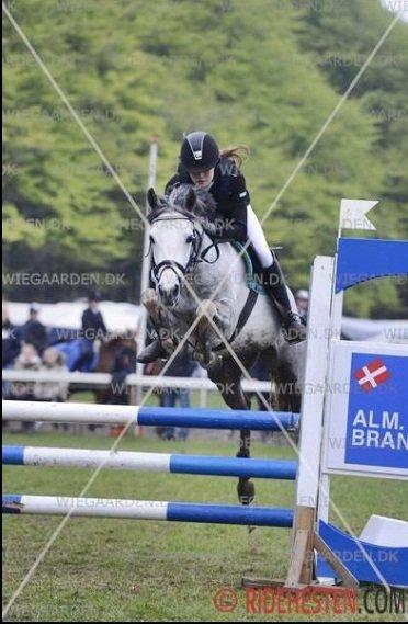 DSP Princes Fiona - Fifi på Morsø 2013, hun var så sej! billede 1