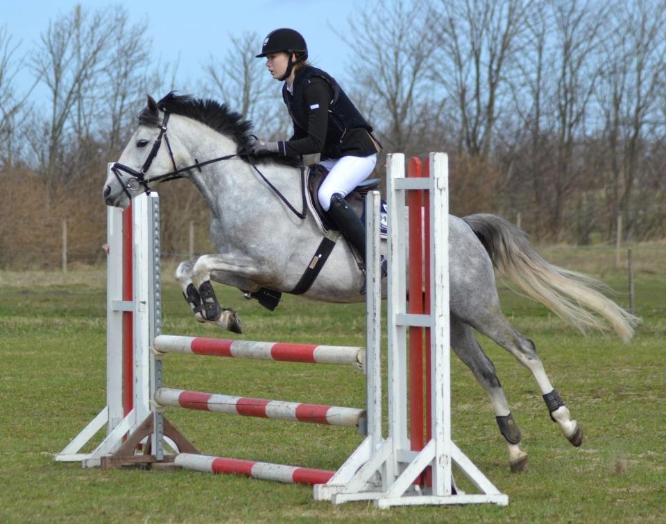 DSP Princes Fiona billede 19