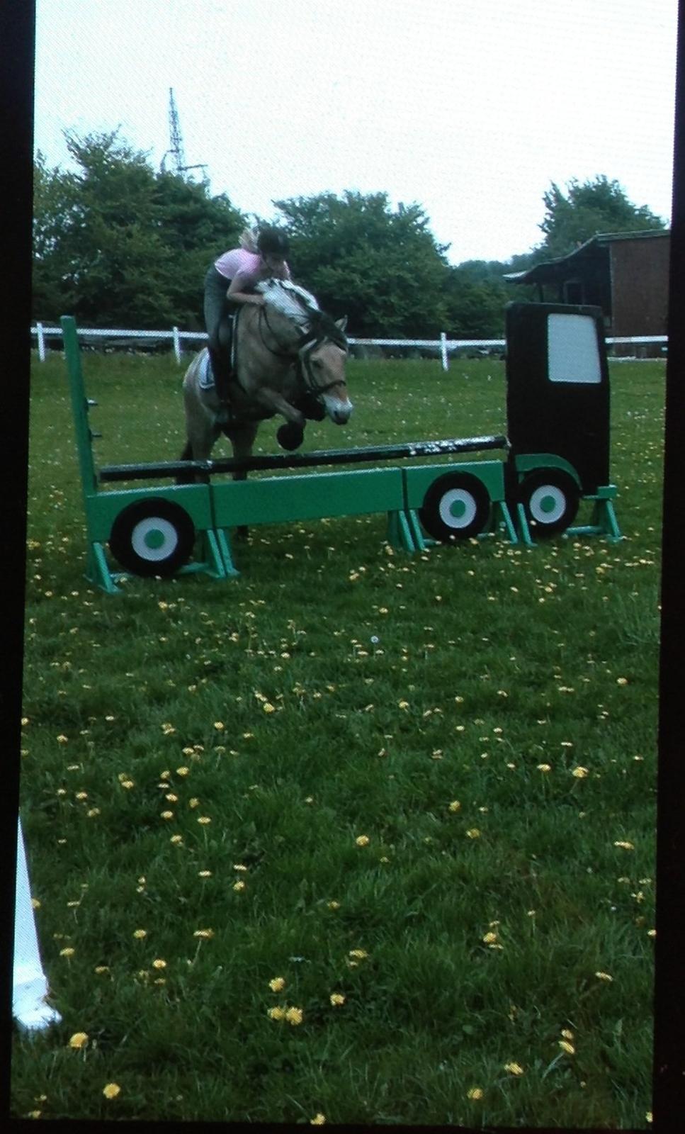Fjordhest Hagbard Skellerød (Nu en Engel) R.I.P - Første gang vi springer lastbil :) billede 9