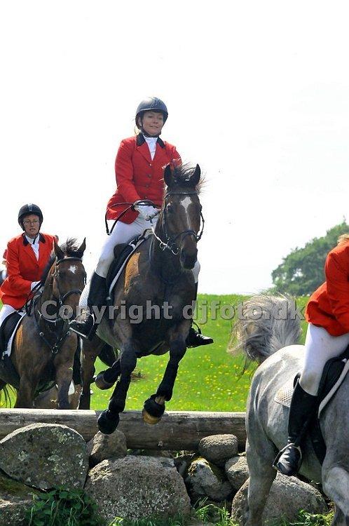 Fuldblod (XX) Pistoleiro billede 11