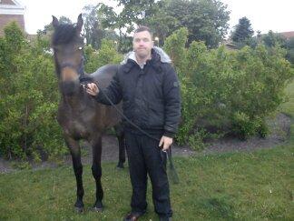 Barockpinto Gazella Frieserly billede 15