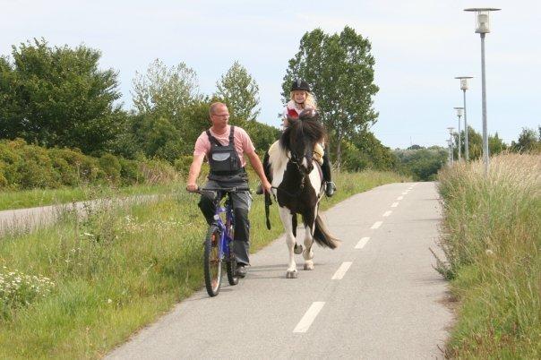 Islænder Elgur - Det er mig der rider Elgur på billedet, der var jeg ikke så gammel:) billede 3