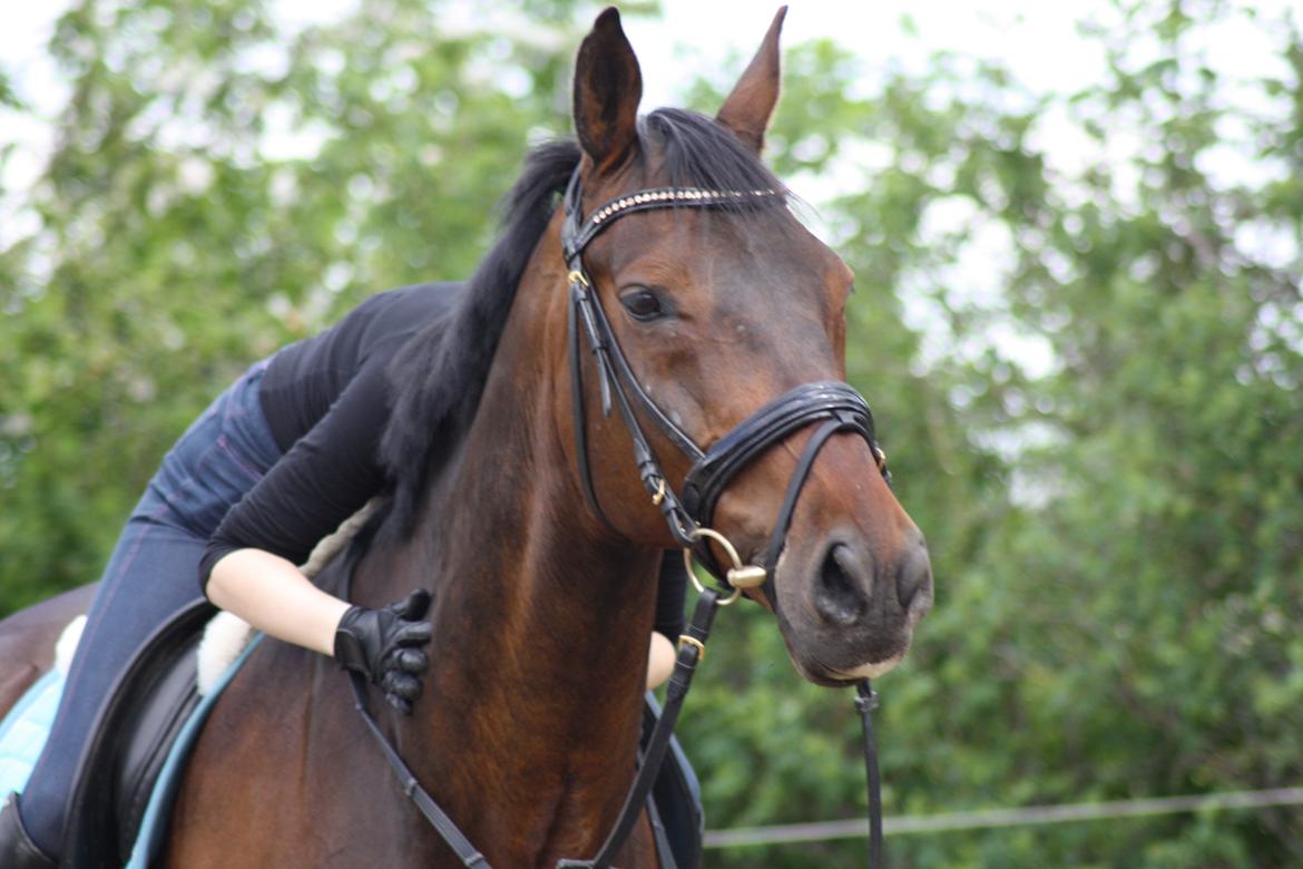 Anden særlig race Easy Go Sofus - Jeg elsker dig højere end alt! <3<3<3 billede 11