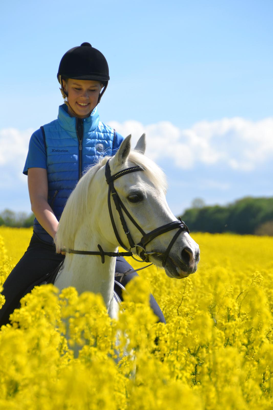 Tysk Sportspony Maidens Blush - Prinsesse! <3 Fotograf: Simone billede 4