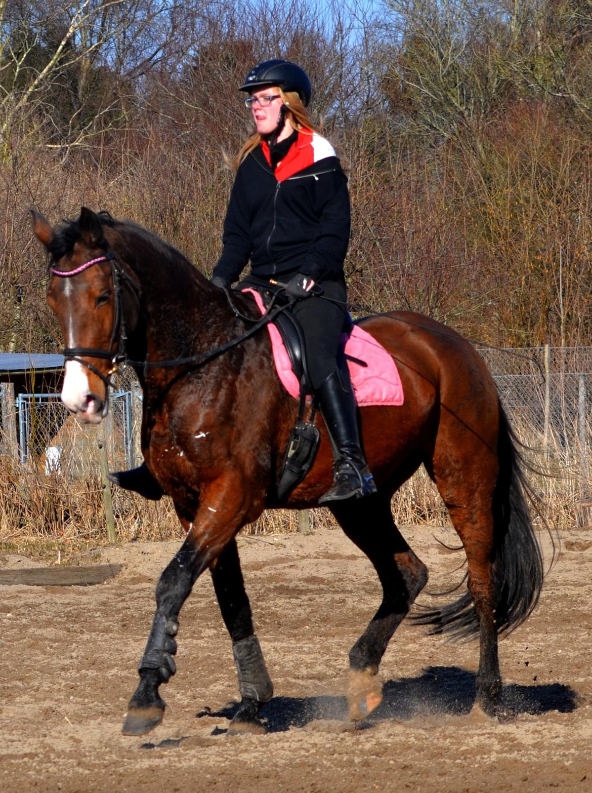 Holstener Costa Rica 32 billede 14