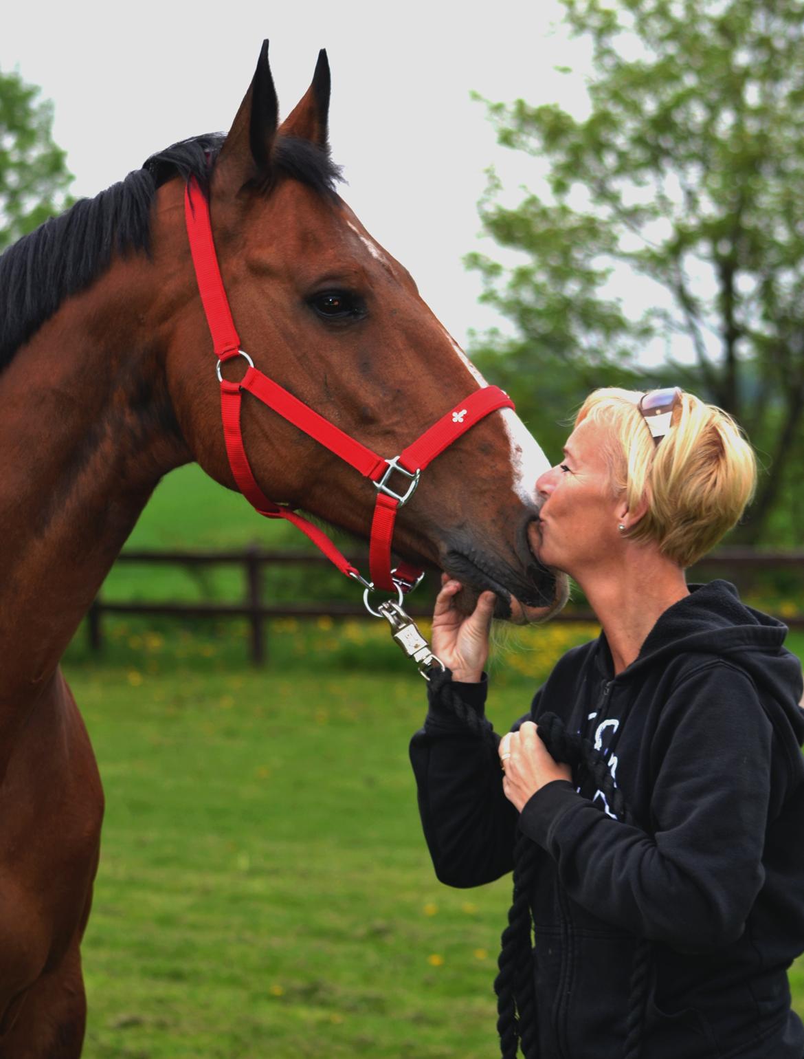 Holstener Costa Rica 32 billede 18