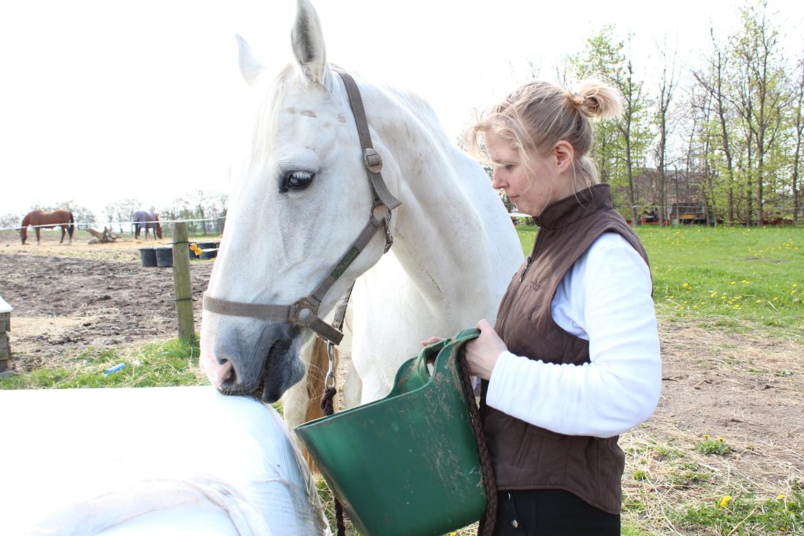 Anden særlig race Faxi billede 1