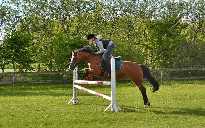 Anden særlig race Beauty - -'Never give up on someone you can't go a day without thinking about. billede 2