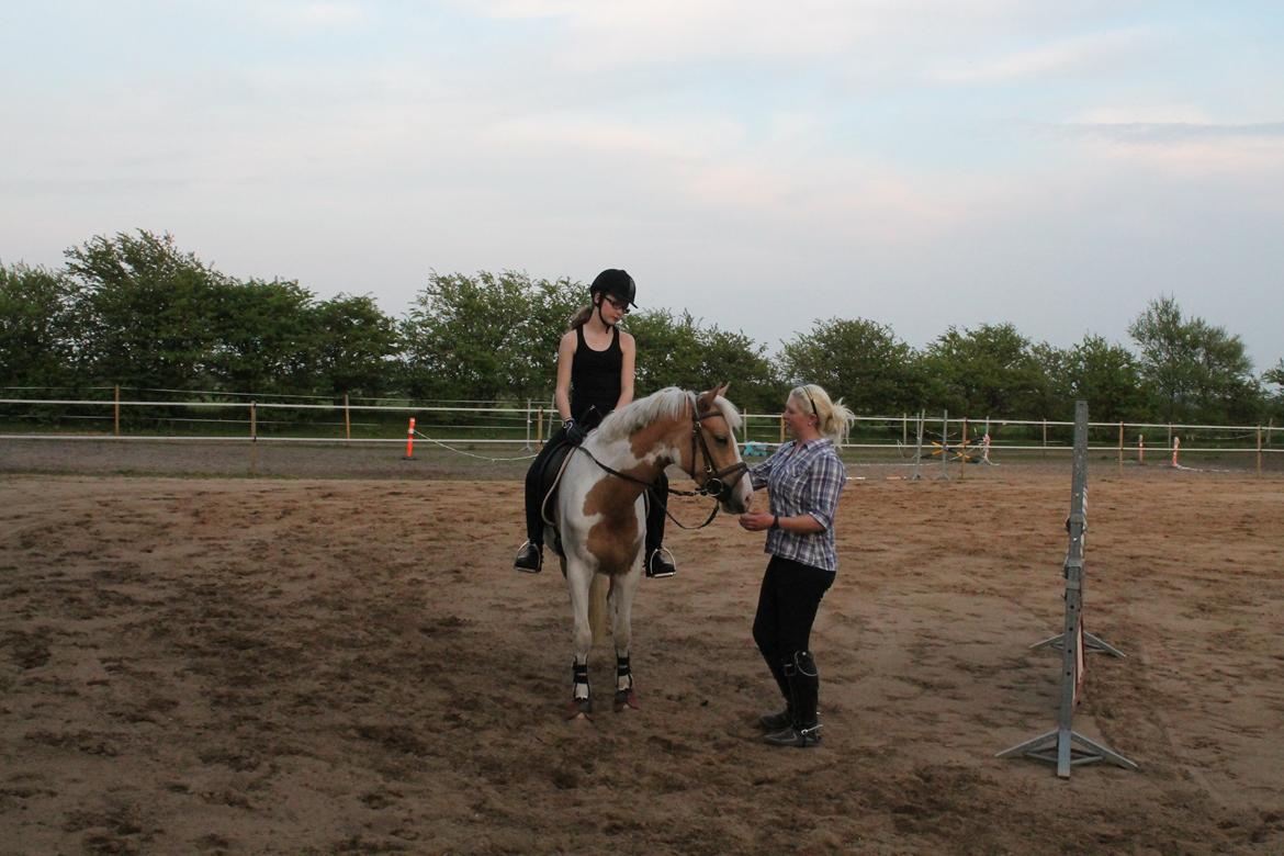 Pinto SHE DE LUXE HØJGÅRD [Tidl. låne hest] - Tak til søde Sabina for at have hjulpet mig med LUXI!! <3 - Foto Far billede 3