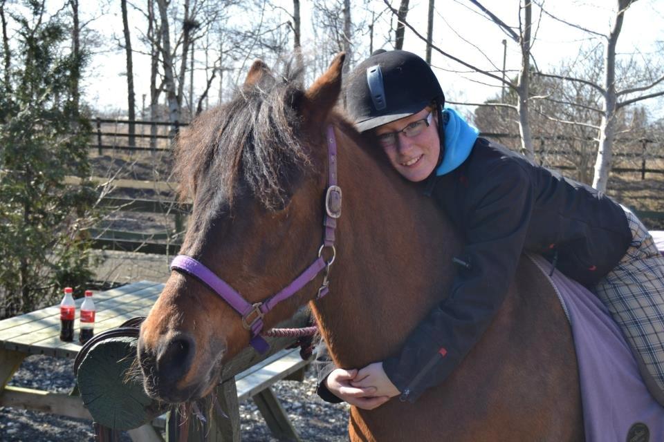 New Forest Megan (Megx) billede 8