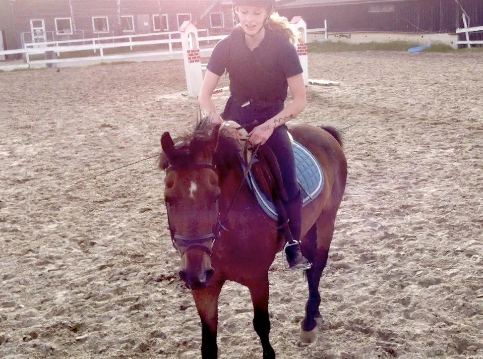 New Forest Brinkhofs Phantom (tidl. springpart) - <3 billede 7