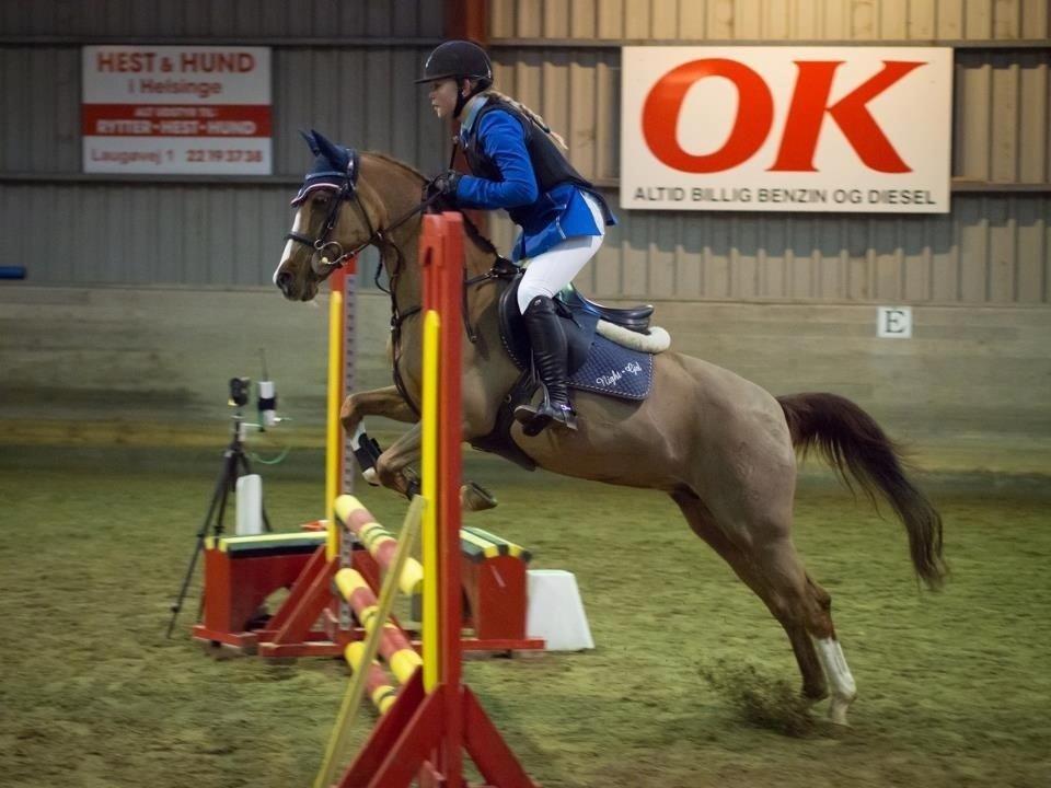 DSP | Night-Girl [ Red ] Solgt. billede 8